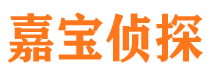 杂多寻人公司